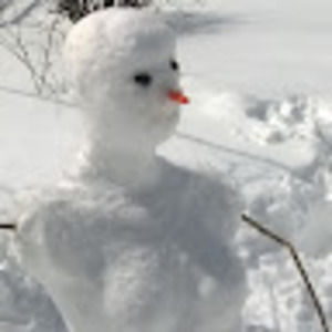 Meet your Posher, Alice